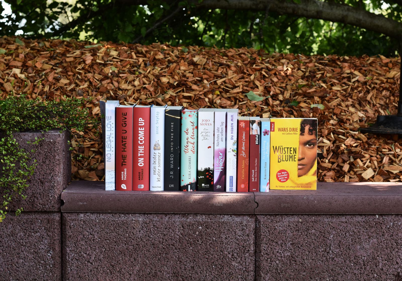 Blogger_innensonntag - Berührende Schicksale